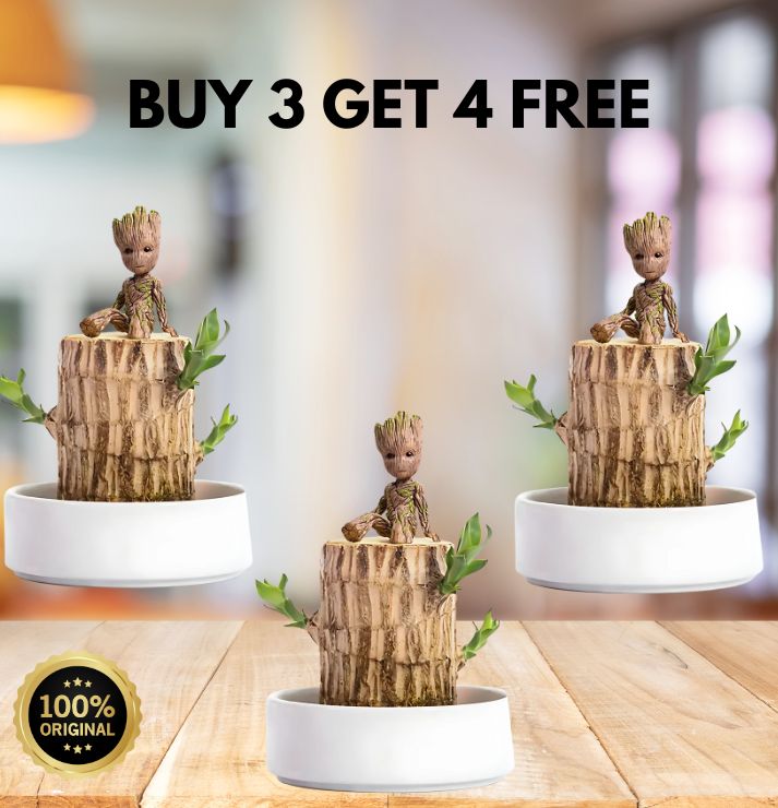 Brazilian Lucky Wood